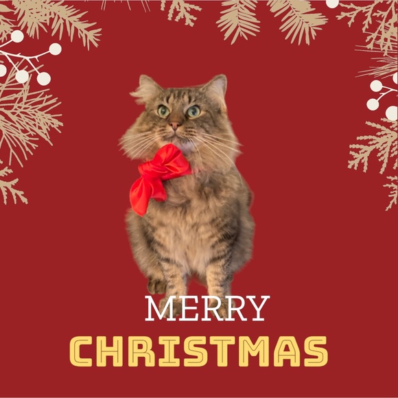 Meet your Posher, Kay - Picture 9 of 10